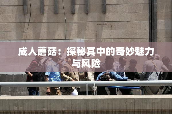 成人蘑菇：探秘其中的奇妙魅力与风险