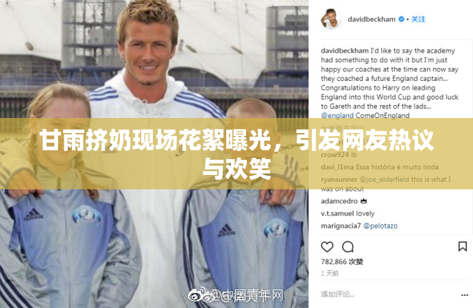 甘雨挤奶现场花絮曝光，引发网友热议与欢笑