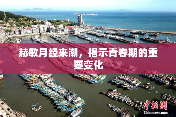 赫敏月经来潮，揭示青春期的重要变化