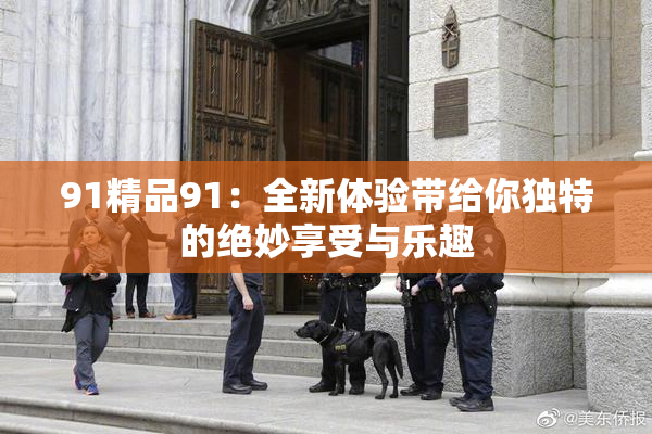 91精品91：全新体验带给你独特的绝妙享受与乐趣