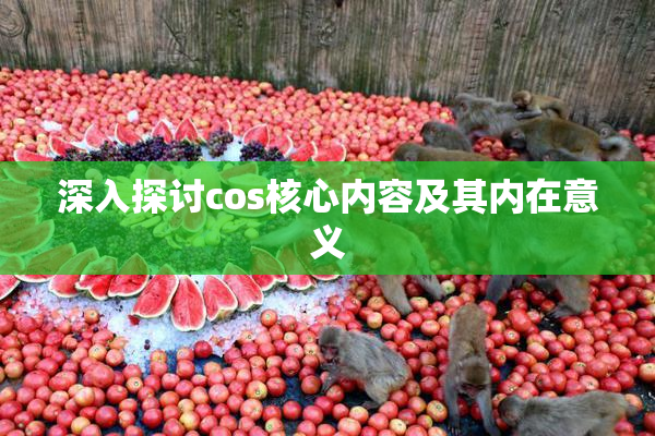 深入探讨cos核心内容及其内在意义