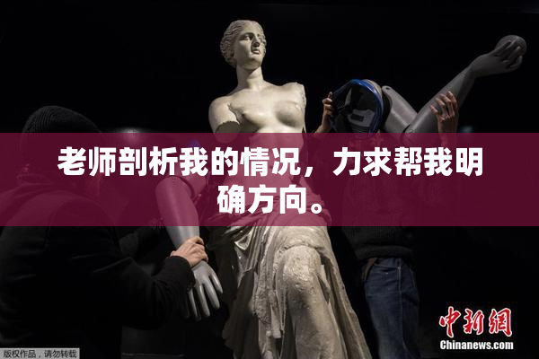 老师剖析我的情况，力求帮我明确方向。