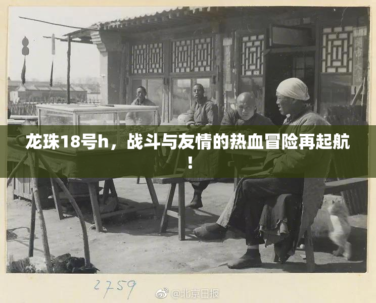 龙珠18号h，战斗与友情的热血冒险再起航！