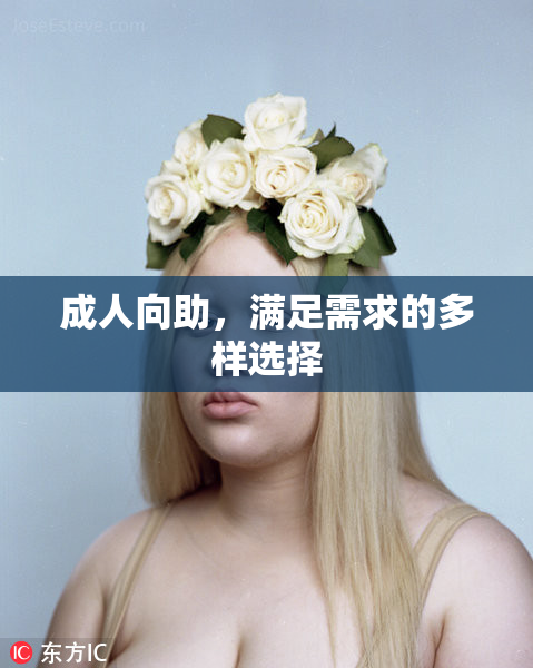 成人向助，满足需求的多样选择