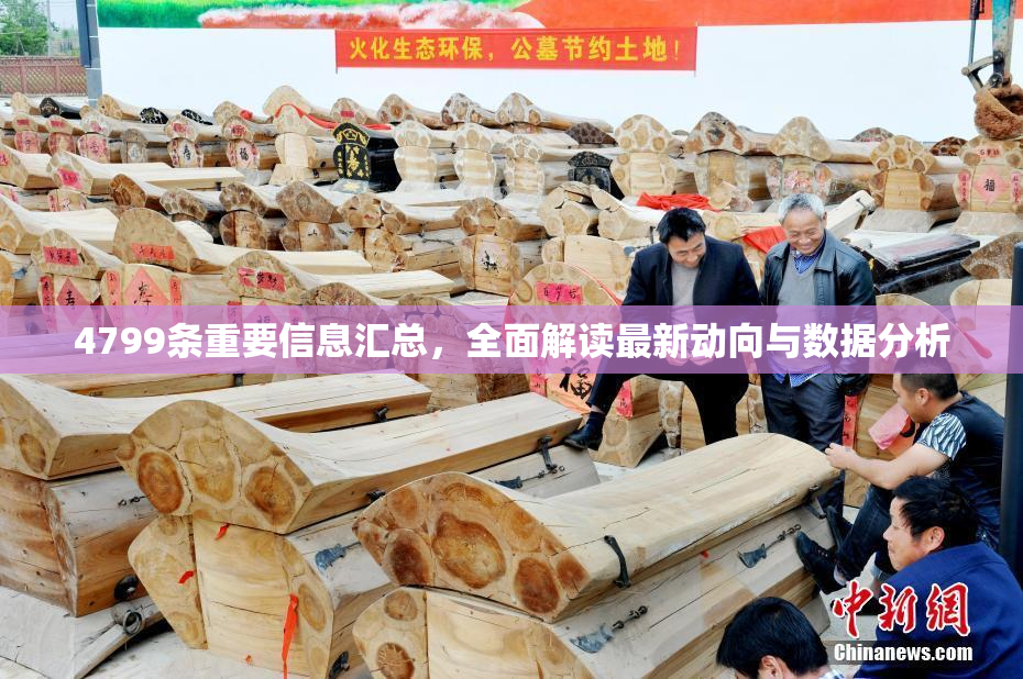 4799条重要信息汇总，全面解读最新动向与数据分析