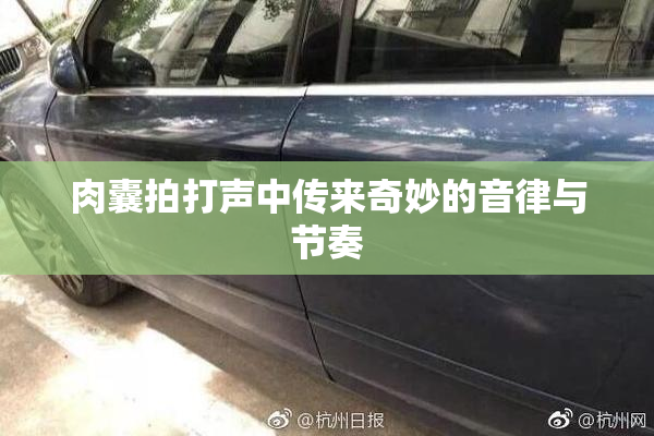 肉囊拍打声中传来奇妙的音律与节奏