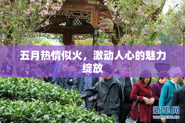 五月热情似火，激动人心的魅力绽放