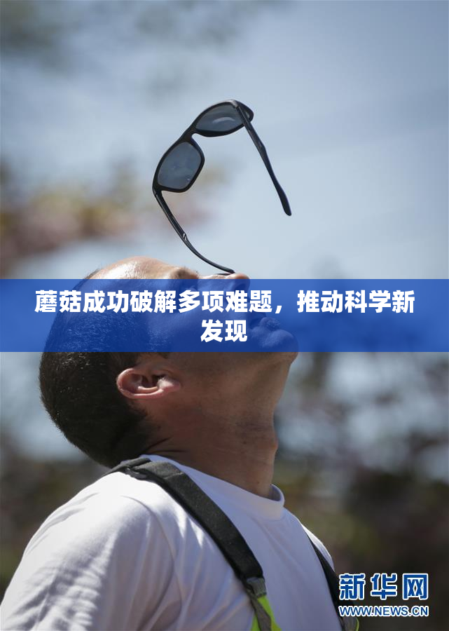 蘑菇成功破解多项难题，推动科学新发现