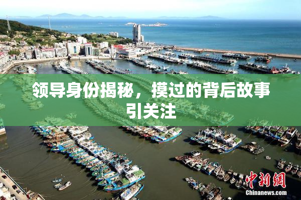领导身份揭秘，摸过的背后故事引关注