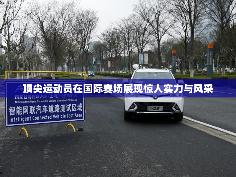 顶尖运动员在国际赛场展现惊人实力与风采