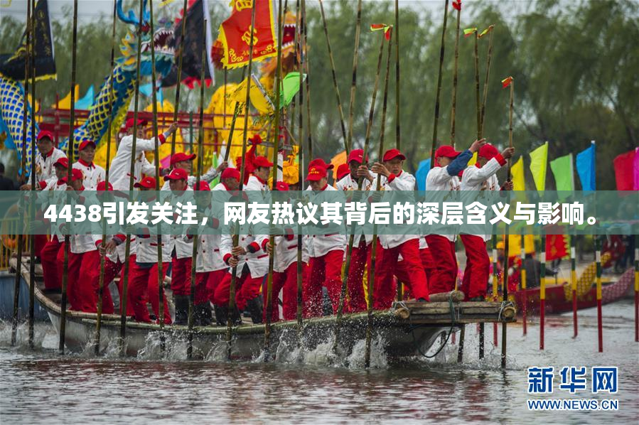 4438引发关注，网友热议其背后的深层含义与影响。