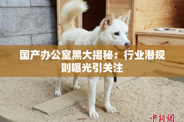 国产办公室黑大揭秘：行业潜规则曝光引关注