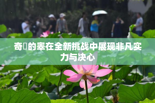 奇犽的睾在全新挑战中展现非凡实力与决心