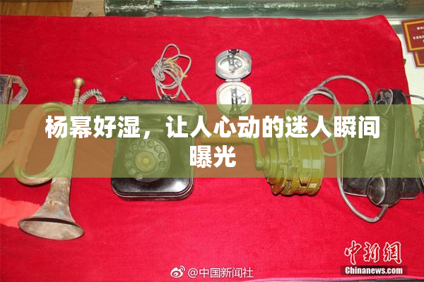 杨幂好湿，让人心动的迷人瞬间曝光