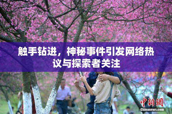 触手钻进，神秘事件引发网络热议与探索者关注