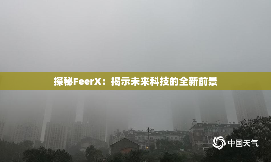 探秘FeerX：揭示未来科技的全新前景