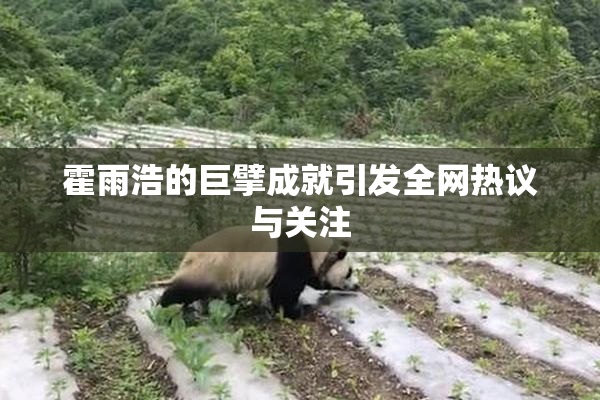 霍雨浩的巨擘成就引发全网热议与关注