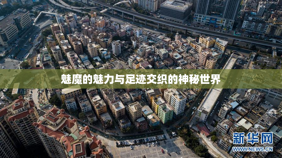 魅魔的魅力与足迹交织的神秘世界