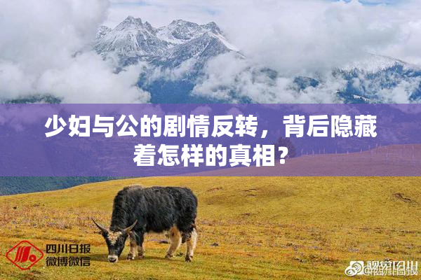 少妇与公的剧情反转，背后隐藏着怎样的真相？