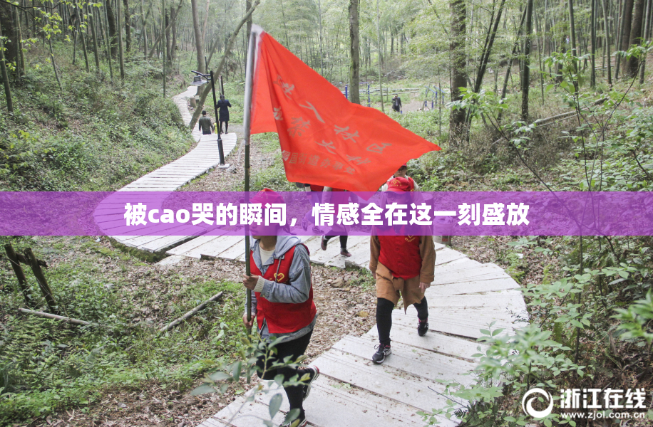 被cao哭的瞬间，情感全在这一刻盛放