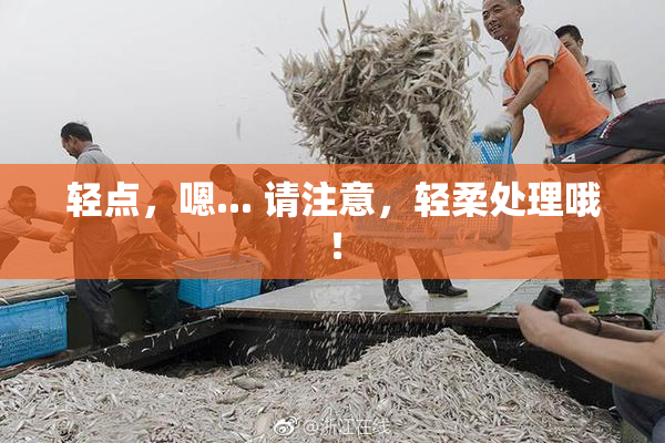 轻点，嗯... 请注意，轻柔处理哦！