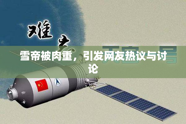 雪帝被肉重，引发网友热议与讨论
