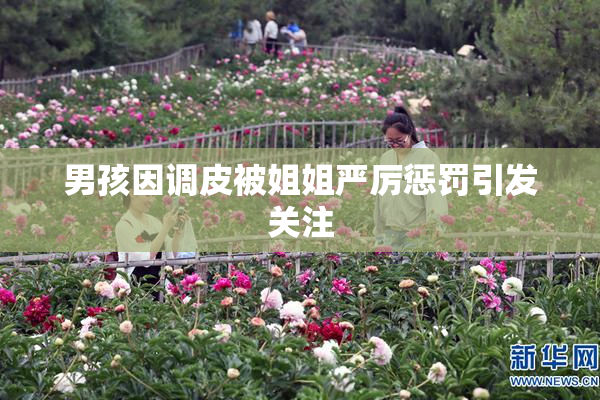 男孩因调皮被姐姐严厉惩罚引发关注