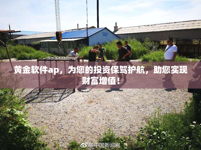 黄金软件ap，为您的投资保驾护航，助您实现财富增值！