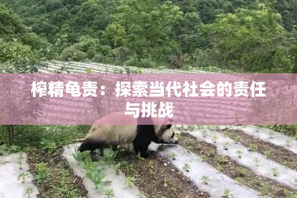 榨精龟责：探索当代社会的责任与挑战