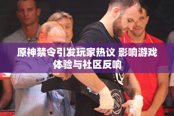 原神禁令引发玩家热议 影响游戏体验与社区反响