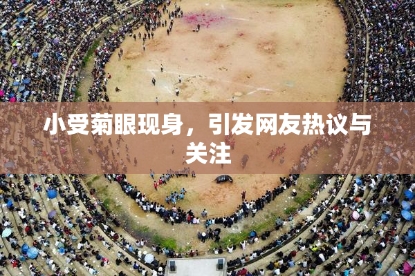 小受菊眼现身，引发网友热议与关注