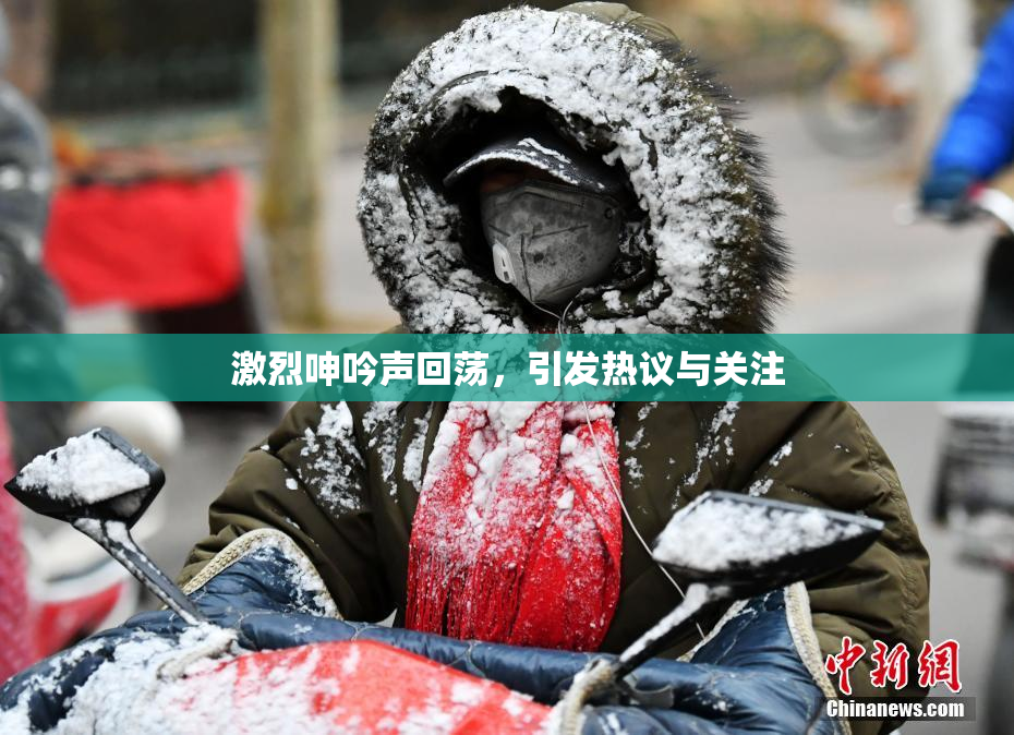 激烈呻吟声回荡，引发热议与关注