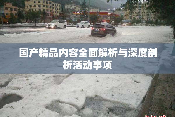 国产精品内容全面解析与深度剖析活动事项