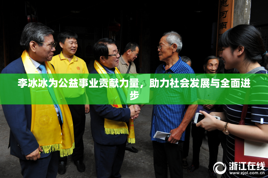 李冰冰为公益事业贡献力量，助力社会发展与全面进步