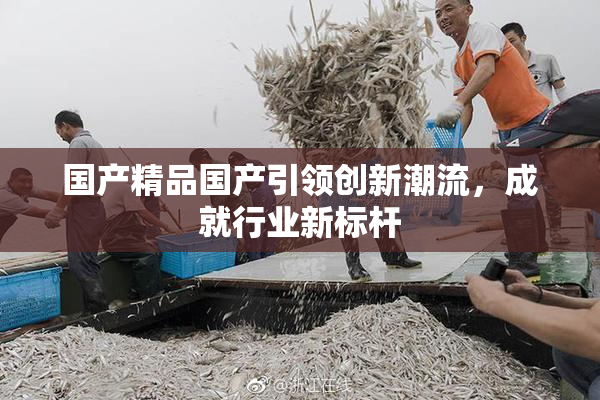 国产精品国产引领创新潮流，成就行业新标杆