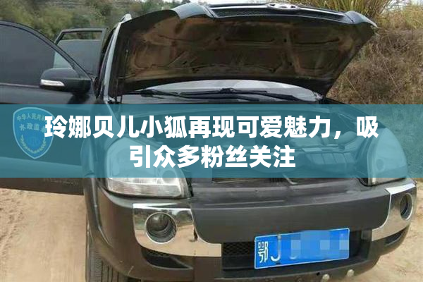 玲娜贝儿小狐再现可爱魅力，吸引众多粉丝关注