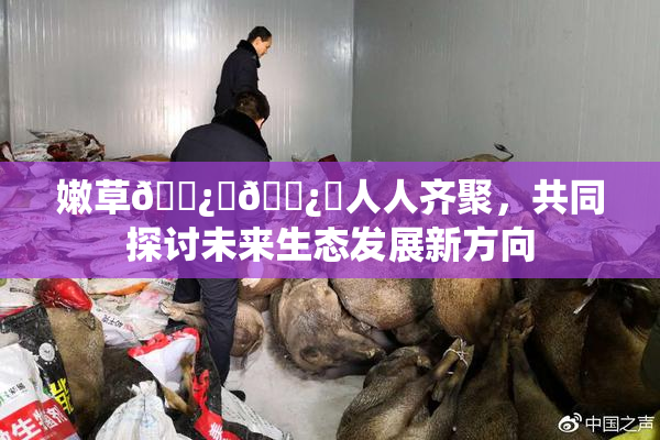 嫩草🌿‌🌿‌人人齐聚，共同探讨未来生态发展新方向