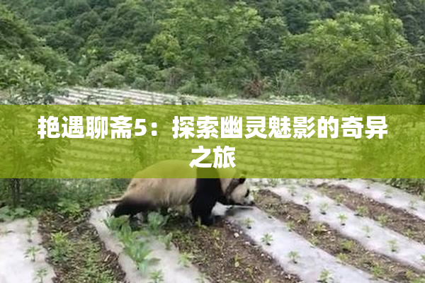 艳遇聊斋5：探索幽灵魅影的奇异之旅