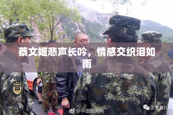 蔡文姬悲声长吟，情感交织泪如雨