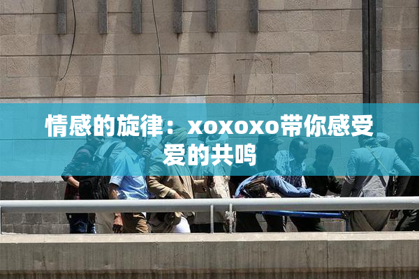 情感的旋律：xoxoxo带你感受爱的共鸣