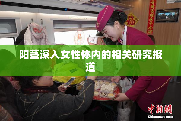 阳茎深入女性体内的相关研究报道