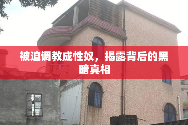 被迫调教成性奴，揭露背后的黑暗真相
