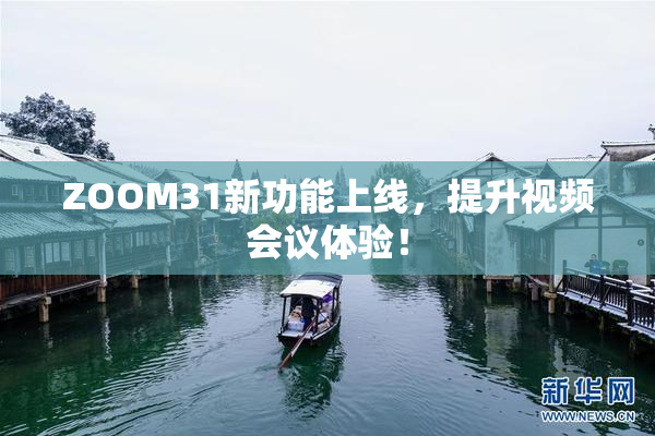 ZOOM31新功能上线，提升视频会议体验！