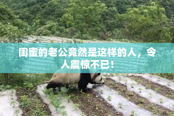 闺蜜的老公竟然是这样的人，令人震惊不已！