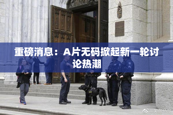 重磅消息：A片无码掀起新一轮讨论热潮