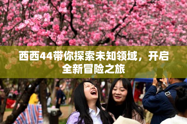 西西44带你探索未知领域，开启全新冒险之旅
