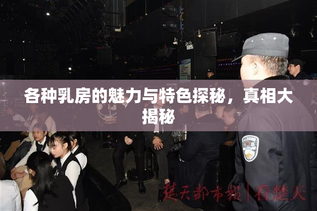 各种乳房的魅力与特色探秘，真相大揭秘