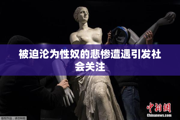 被迫沦为性奴的悲惨遭遇引发社会关注