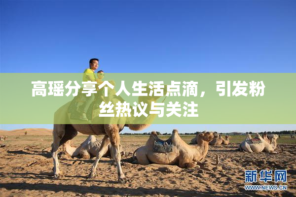 高瑶分享个人生活点滴，引发粉丝热议与关注