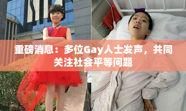 重磅消息：多位Gay人士发声，共同关注社会平等问题